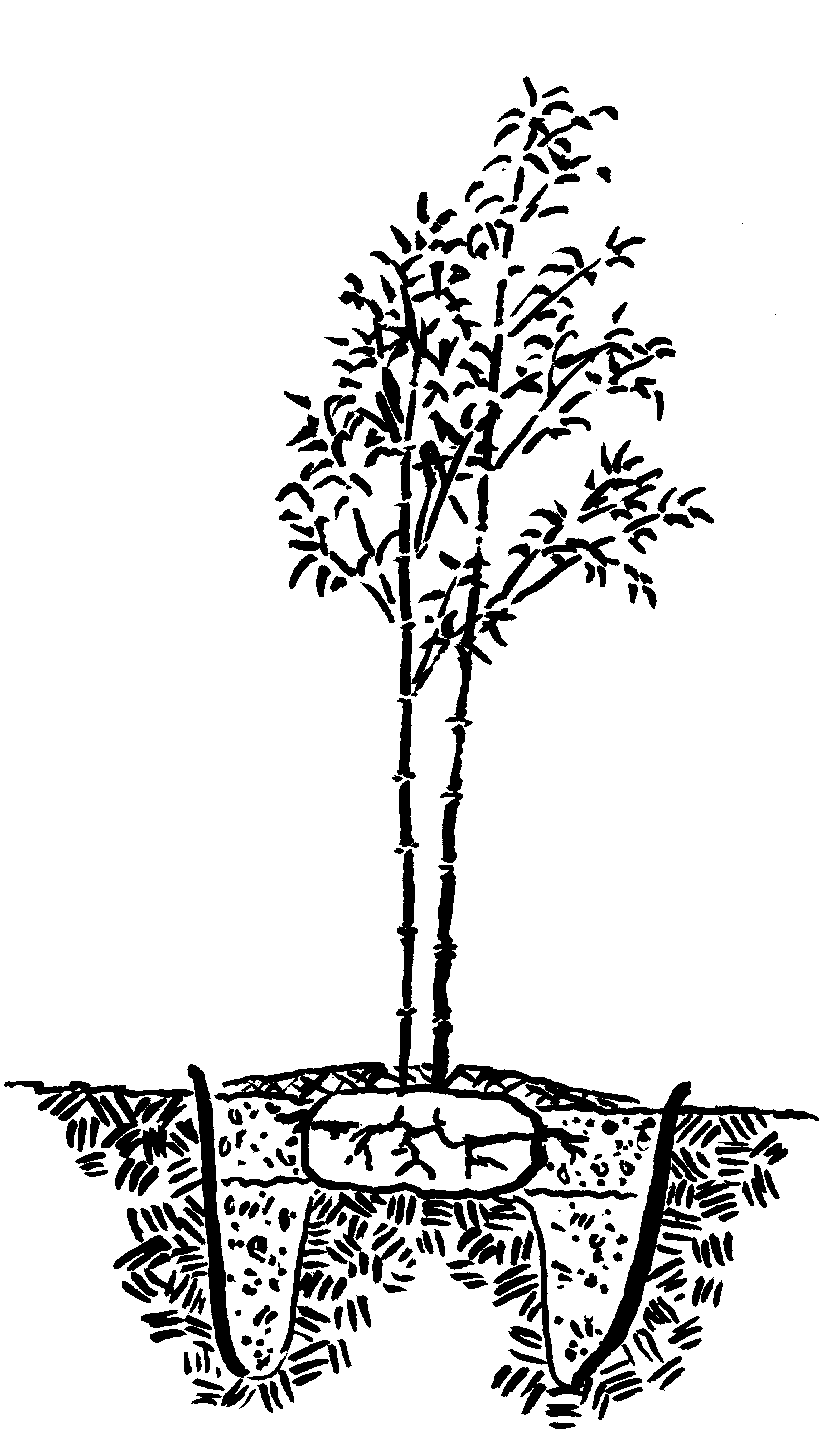 Barrier installation diagram