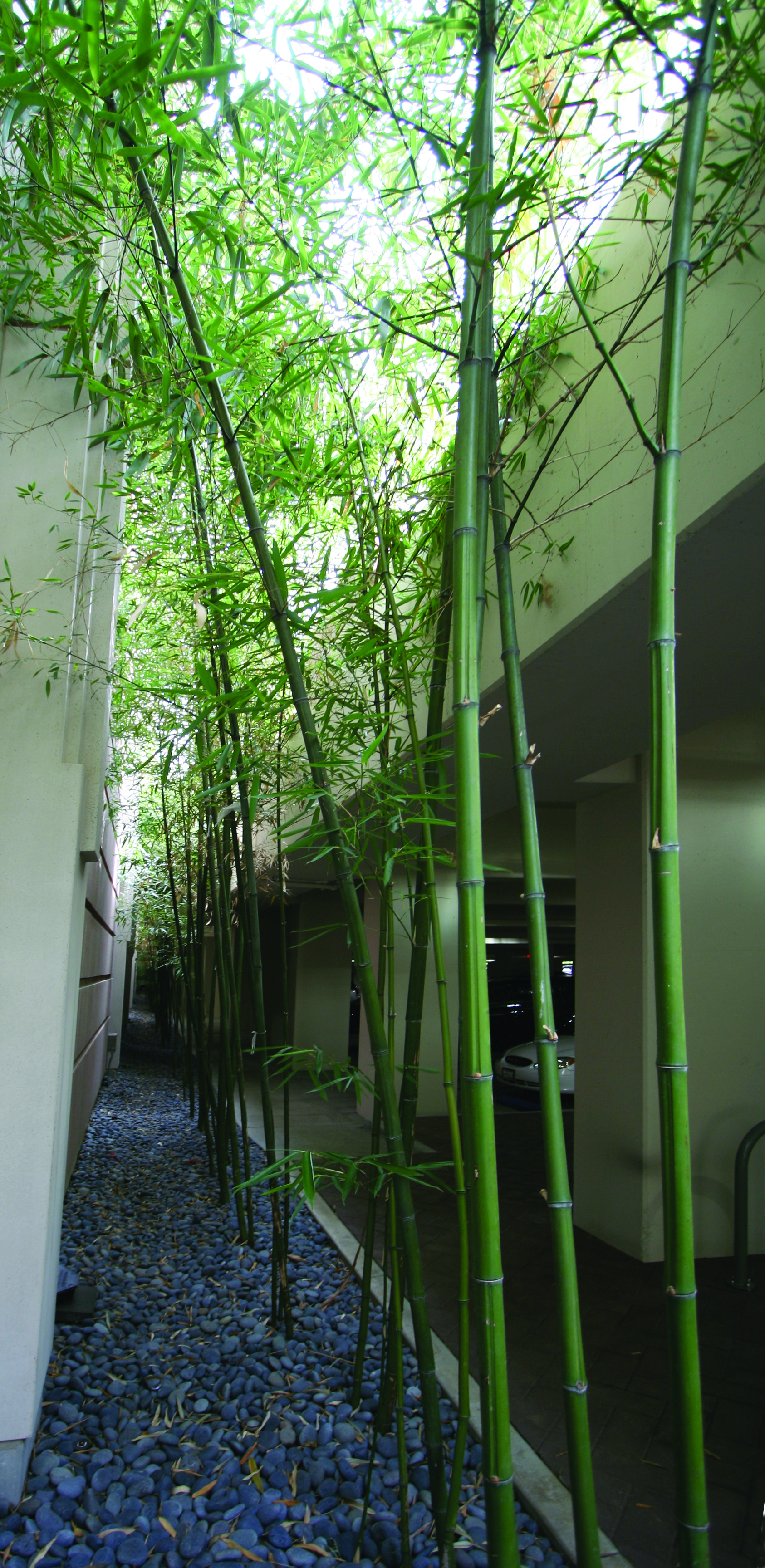 Medical center parking