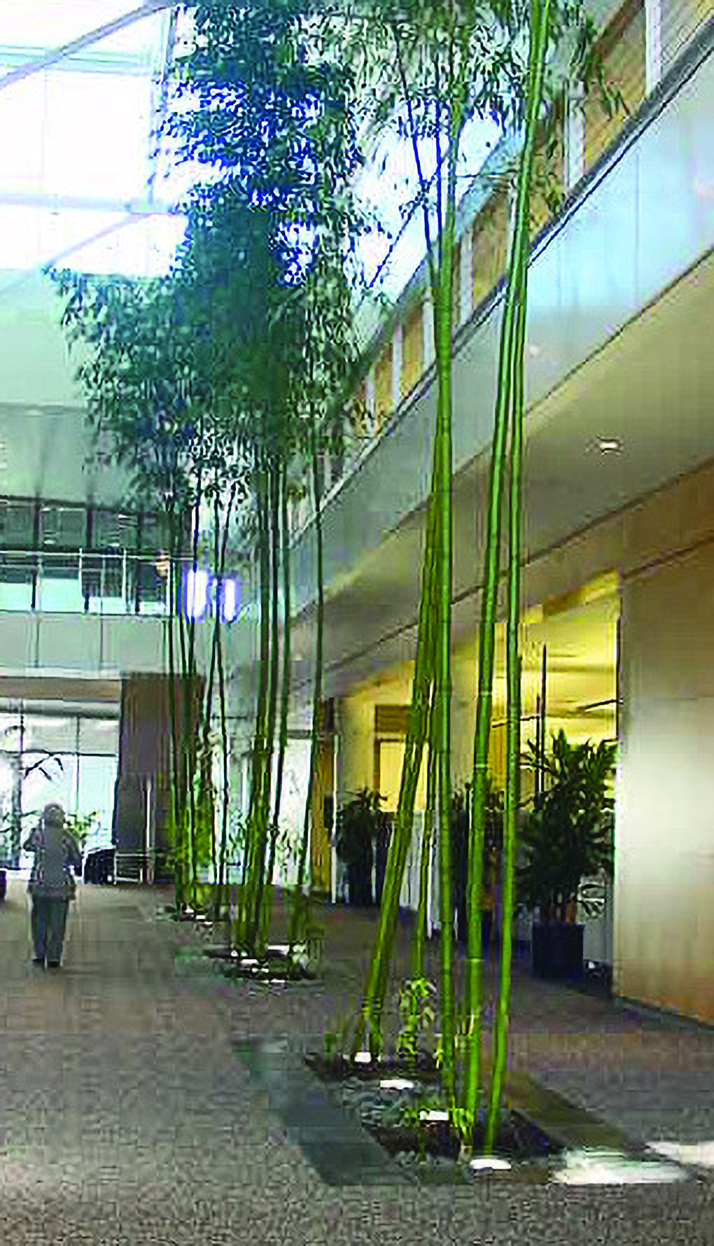 Office lobby