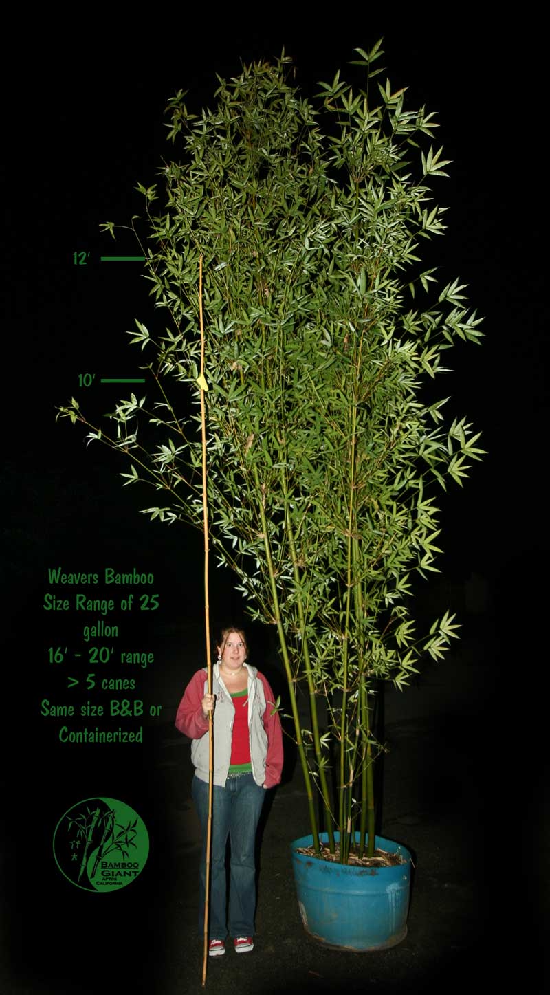 Weavers 25 gallon size